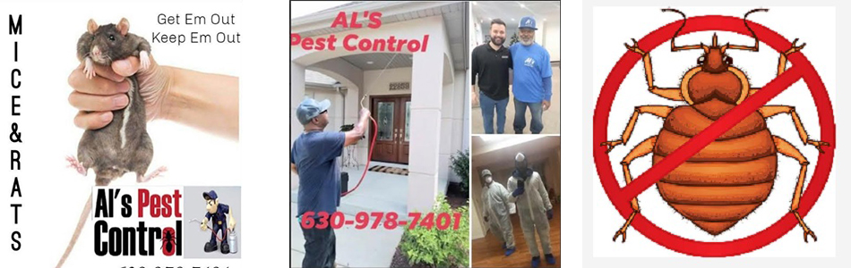 Best Pest Control in Illinois / Best Pest Control Illinois